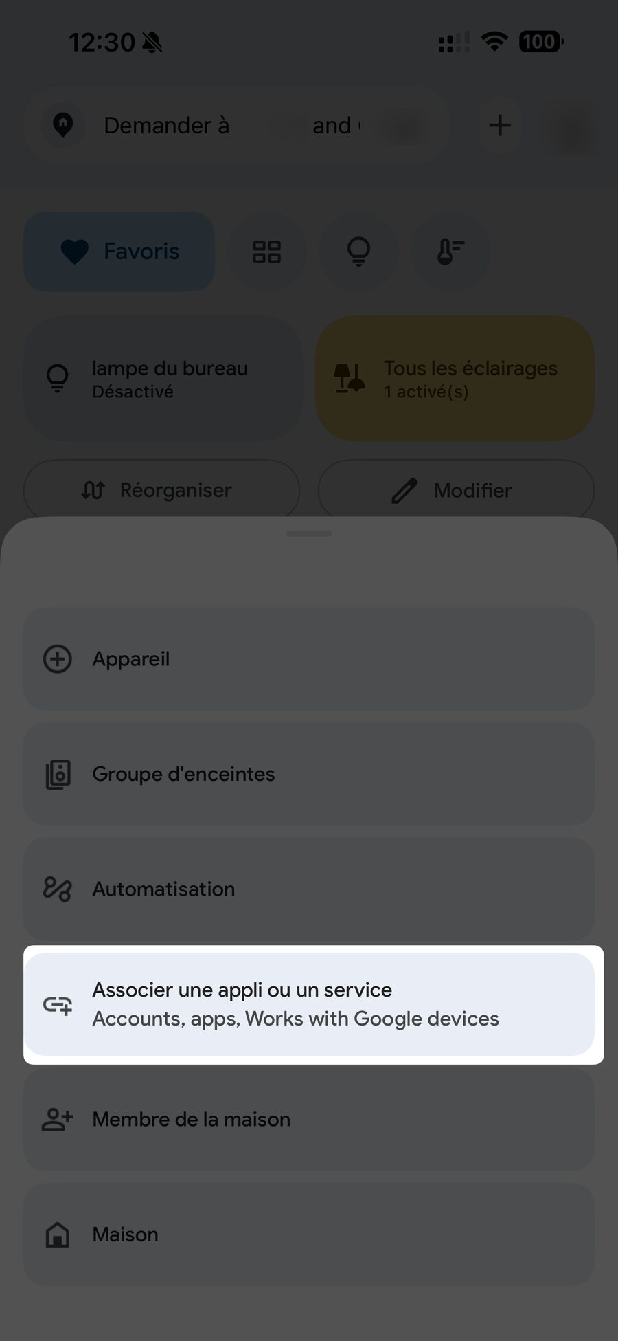 Option Associer une appli ou un service dans Google Home