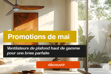 Ventilateurs de plafond : Promos du mois