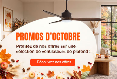 Ventilateurs de plafond : Promos Octobre 2026