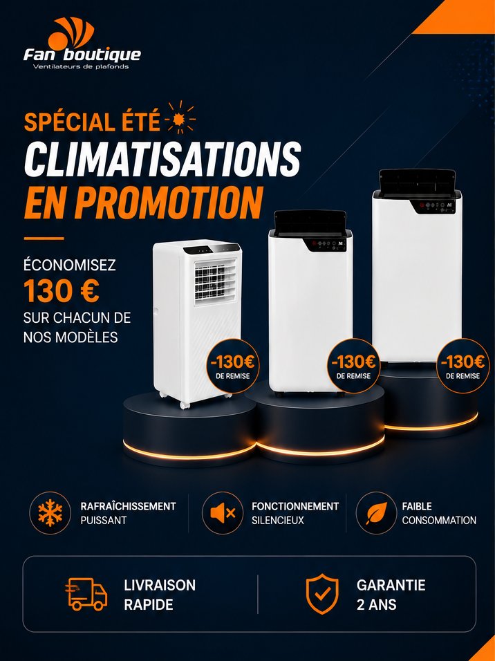 Ventilateurs de plafond : Promos du mois