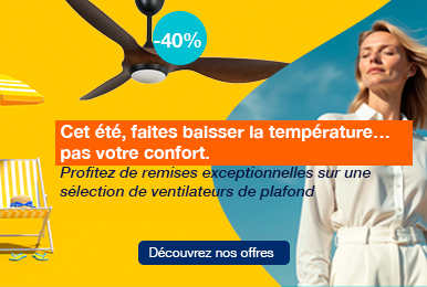 Ventilateurs de plafond : Promos Eté 2026