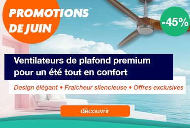 Ventilateurs de plafond : Promos du mois